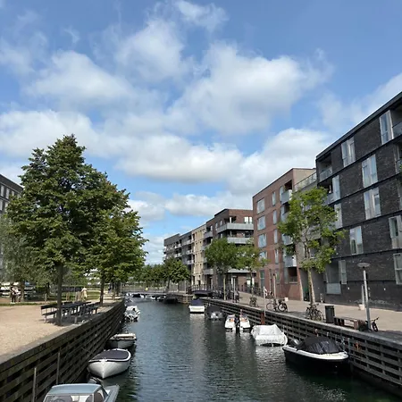 Cosy In South Harbour *