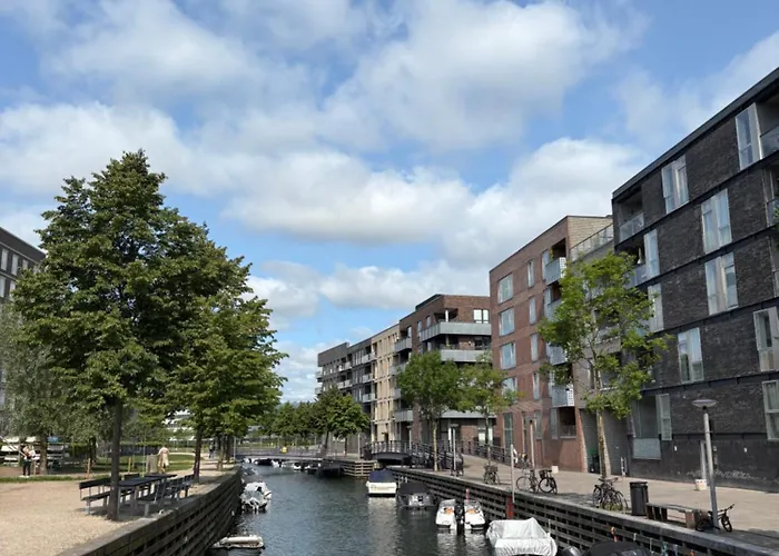 Cosy In South Harbour *